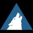 Arctic Wolf Networks logo