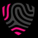 BigID logo