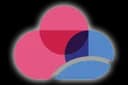 Check Point CloudGuard logo