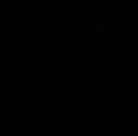 Coverity Static Application Security Testing logo