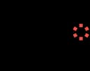 Denodo Platform logo