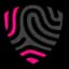BigID logo