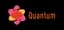 Check Point Quantum logo