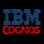 IBM Cognos Controller logo