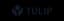 Tulip Platform logo