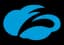 Zscaler Private Access logo