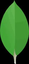 MongoDB Atlas