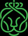 Ahold Delhaize logo
